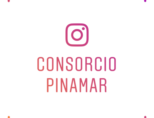 Siguenos en Instagram