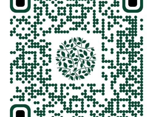 Escanea nuestro QR y siguenos!!